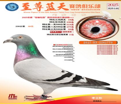 特比三關(guān)鴿王18名