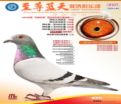特比三關(guān)鴿王16名