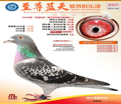 特比三關(guān)鴿王22名