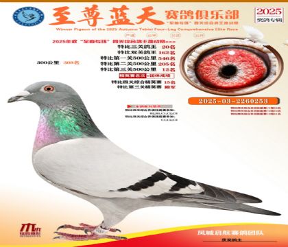 特比三關(guān)鴿王20名