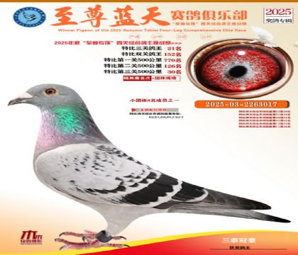 特比三關(guān)鴿王21名