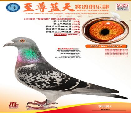 特比三關(guān)鴿王24名