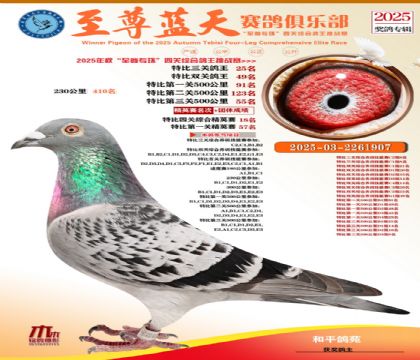 特比三關(guān)鴿王25名