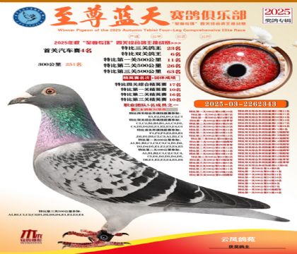 特比三關(guān)鴿王23名