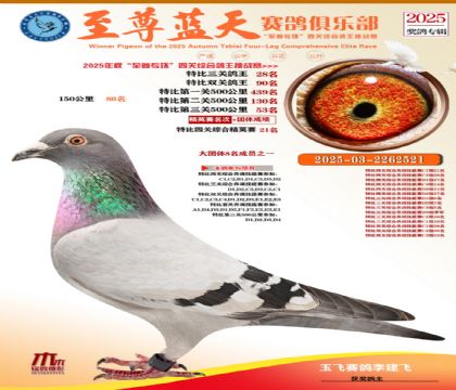 特比三關(guān)鴿王28名