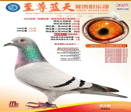 特比三關(guān)鴿王26名