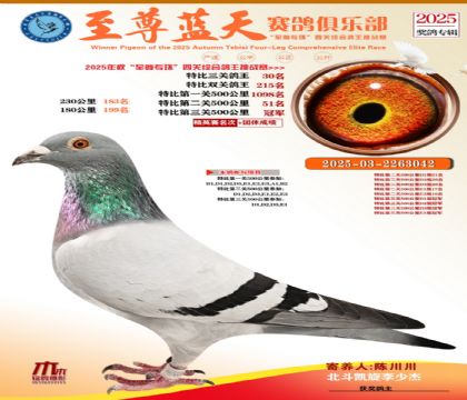 特比三關(guān)鴿王30名