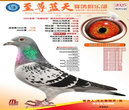 特比三關(guān)鴿王29名
