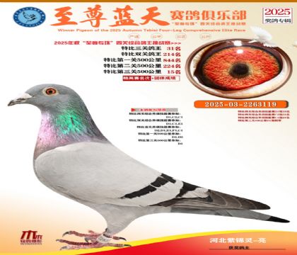 特比三關(guān)鴿王31名