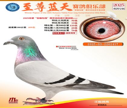 特比三關(guān)鴿王32名