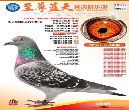 特比三關(guān)鴿王34名