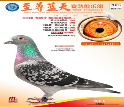 特比三關(guān)鴿王35名