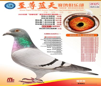 特比三關(guān)鴿王33名