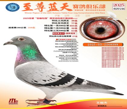 特比三關(guān)鴿王38名