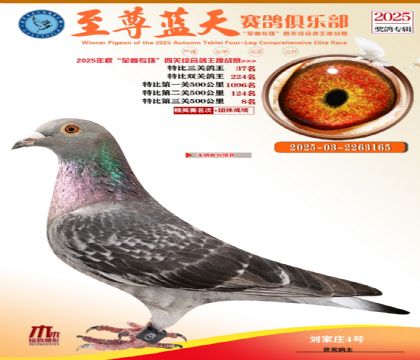 特比三關(guān)鴿王37名
