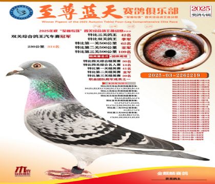 特比三關(guān)鴿王42名