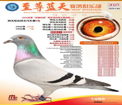 特比三關(guān)鴿王40名