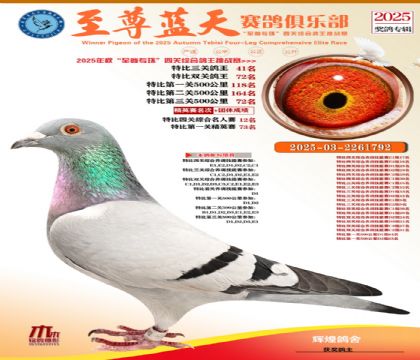 特比三關(guān)鴿王41名