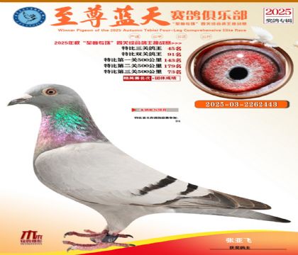 特比三關(guān)鴿王45名