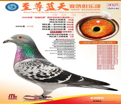 特比三關(guān)鴿王46名