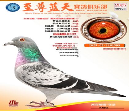 特比三關(guān)鴿王43名