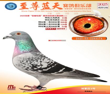 特比三關(guān)鴿王44名