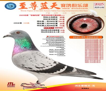 特比三關(guān)鴿王49名