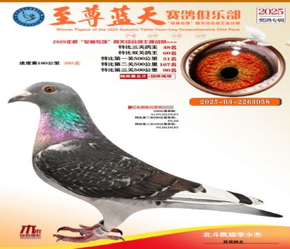 特比三關(guān)鴿王48名