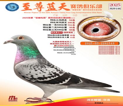 特比三關(guān)鴿王52名