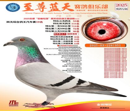 特比三關(guān)鴿王53名