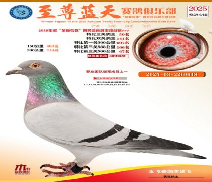 特比三關(guān)鴿王50名