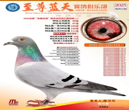 特比三關(guān)鴿王60名