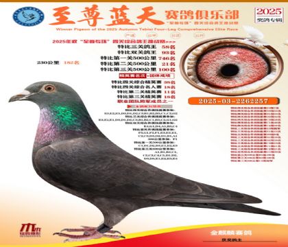 特比三關(guān)鴿王58名