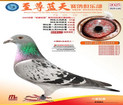 特比三關(guān)鴿王57名