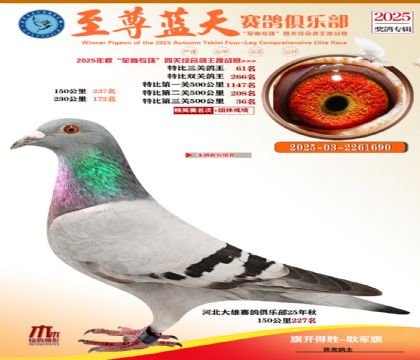 特比三關(guān)鴿王61名