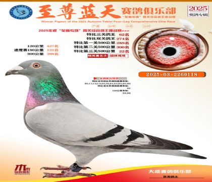 特比三關(guān)鴿王62名