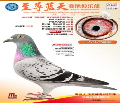 特比三關(guān)鴿王63名