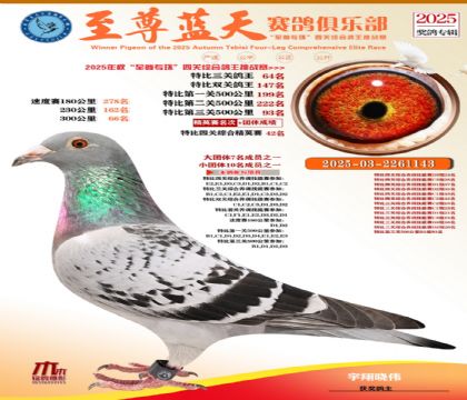 特比三關(guān)鴿王64名