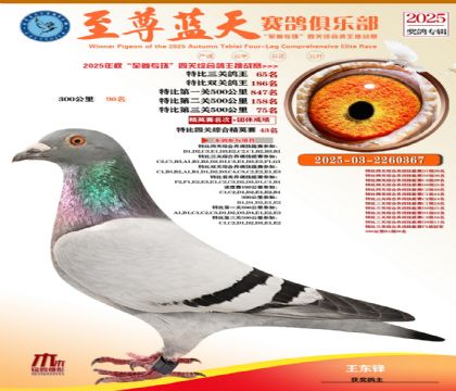 特比三關(guān)鴿王65名