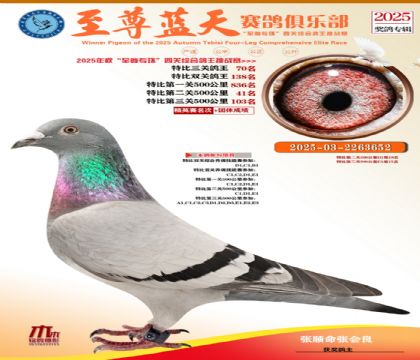 特比三關(guān)鴿王70名