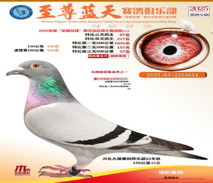 特比三關(guān)鴿王67名