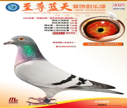 特比三關(guān)鴿王68名