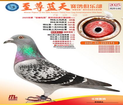 特比三關(guān)鴿王69名