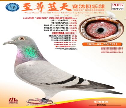 特比三關(guān)鴿王73名