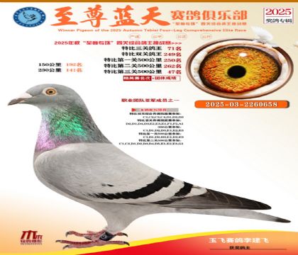 特比三關(guān)鴿王71名
