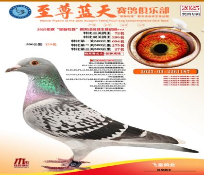 特比三關(guān)鴿王72名