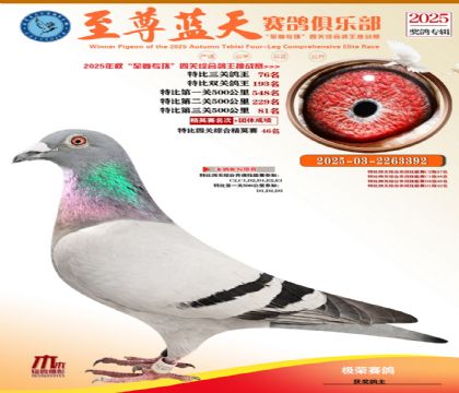 特比三關(guān)鴿王76名