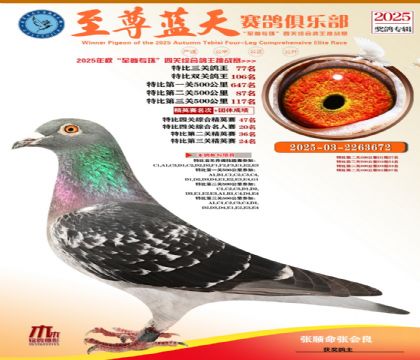 特比三關(guān)鴿王77名