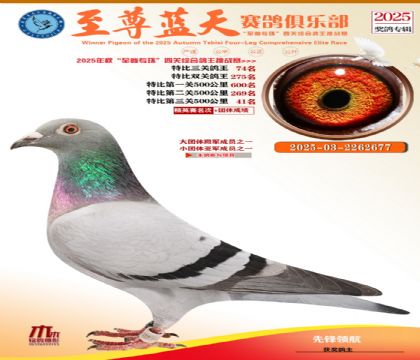 特比三關(guān)鴿王74名