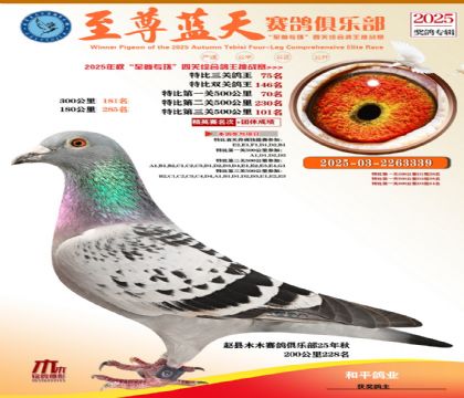 特比三關(guān)鴿王75名